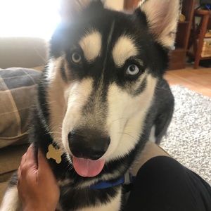 Meet your Posher, Quinn